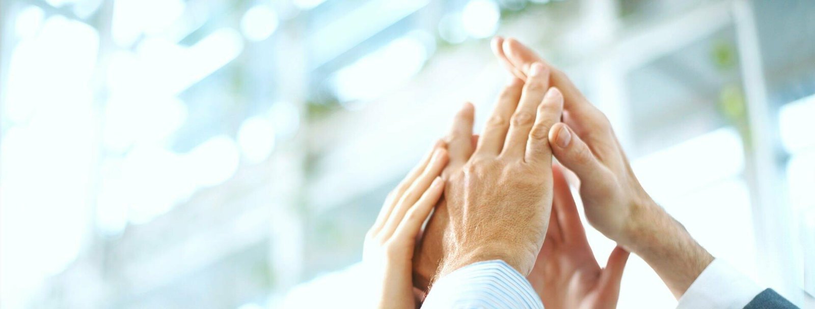 Compare best seo tools